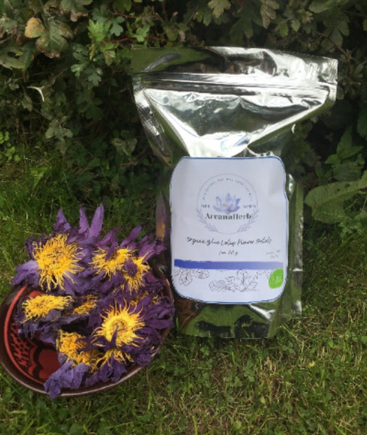 Organic Blue Lotus Tea